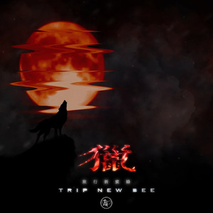 偷窥裙抄底内裤偷拍在线观看
